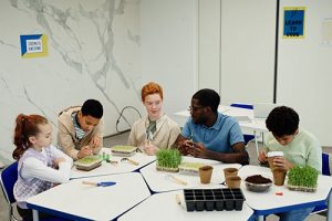 Balanced Programme biology class