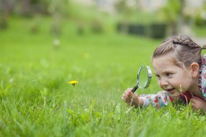 Curiosity is our superpower