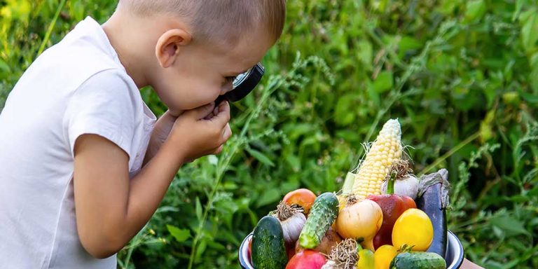 Curiosity is our superpower